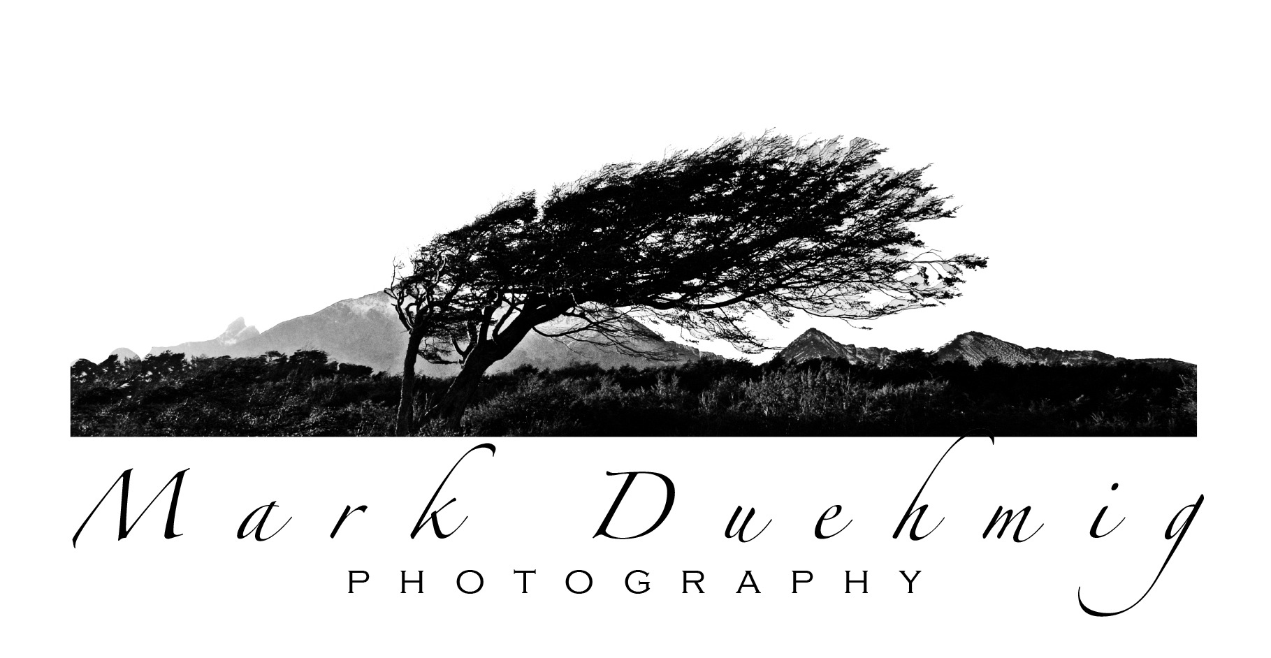 Mark Duehmig - Artist Website